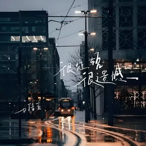 王佳音 - 很短暂很遗憾(伴奏)