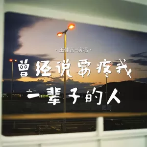 王佳音 - 曾经说要疼我一辈子的人(伴奏)