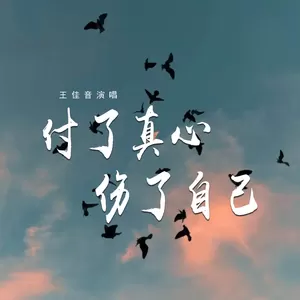 王佳音 - 付了真心伤了自己(伴奏)