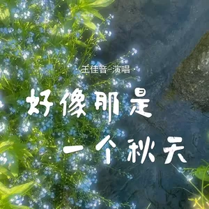 王佳音 - 好像那是一个秋天