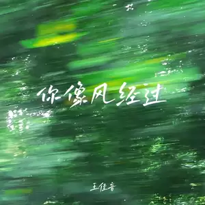 王佳音 - 你像风经过
