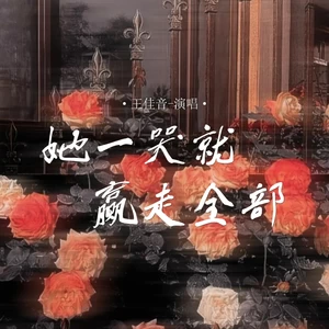 王佳音 - 她一哭就赢走全部(DJ西米版)