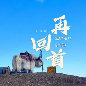 王佳音 - 再回首