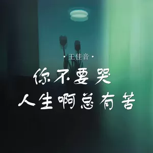 王佳音 - 你不要哭 人生啊总有苦
