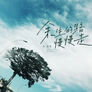 王佳音 - 余生的路慢慢走(live合唱版)