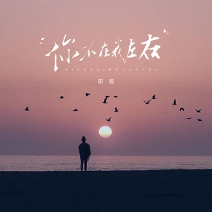 田园 - 你不在我左右（心却被你左右）(伴奏)