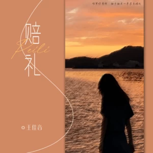 王佳音 - 赔礼(伴奏)
