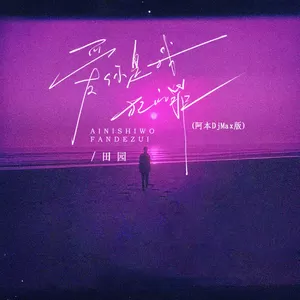 田园 - 爱你是我犯的罪(阿本DjMax版伴奏)
