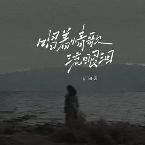 田园 - 唱着情歌流眼泪