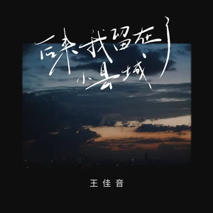 王佳音 - 后来我留在了小县城
