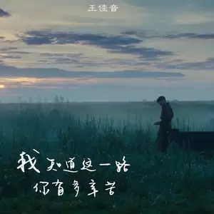 王佳音 - 我知道这一路你有多辛苦