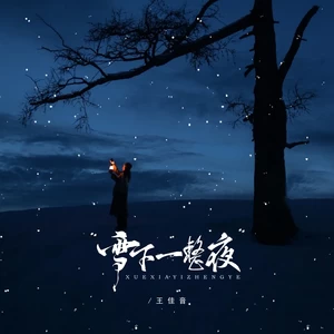 王佳音 - 雪下一整夜