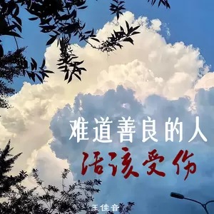 王佳音 - 难道善良的人活该受伤(伴奏)