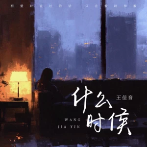王佳音 - 什么时候(伴奏)