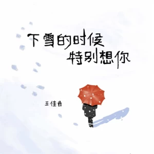 王佳音 - 下雪的时候特别想你