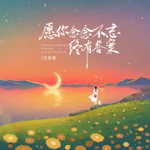 王佳音 - 愿你念念不忘终有答案