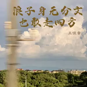 王佳音 - 浪子身无分文也敢走四方(伴奏)
