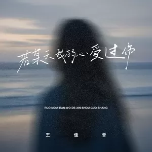 王佳音 - 若某天我的心受过伤