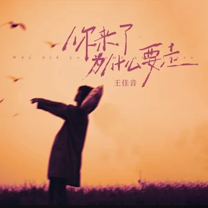 王佳音 - 你来了为什么要走(伴奏)