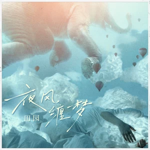 夜风缠梦(DJ版伴奏)