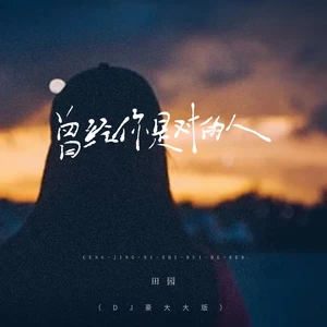 曾经你是对的人(DJ豪大大版)