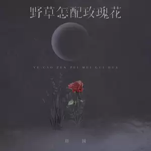 野草怎配玫瑰花