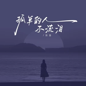 孤单的人不流泪(伴奏)