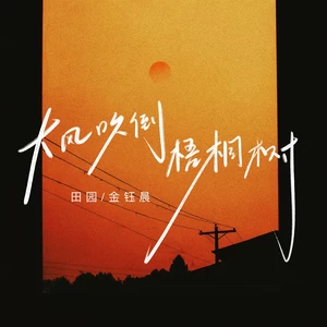 田园/金钰晨 - 大风吹倒梧桐树