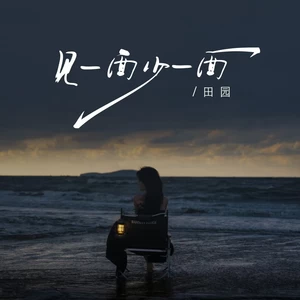 田园 - 见一面少一面(DJ九零版伴奏)