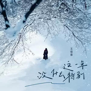 这一年没什么特别(伴奏)