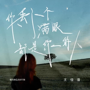 王佳音 - 你丢了一个满眼都是你的人(伴奏)
