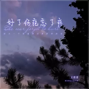 好了伤疤忘了疼(伴奏)