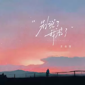 王佳音 - 别说了 我累了(伴奏)