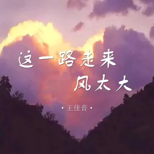 王佳音 - 这一路走来风太大(伴奏)
