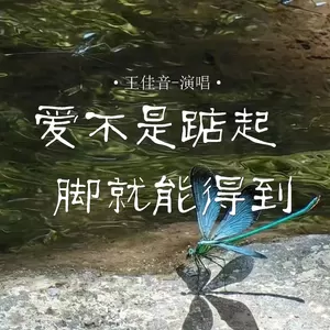 爱不是踮起脚就能得到(伴奏)