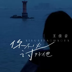 王佳音 - 你不必讨好他(伴奏)