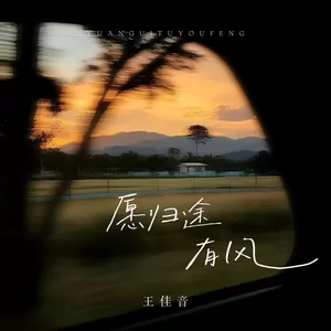王佳音 - 愿归途有风