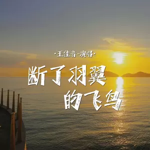 王佳音 - 断了羽翼的飞鸟(伴奏)