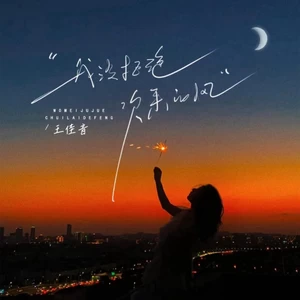 我没拒绝吹来的风(DJ版)