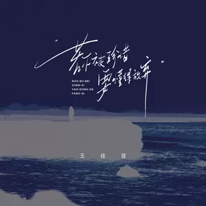 王佳音 - 若不被珍惜，要懂得放弃(伴奏)