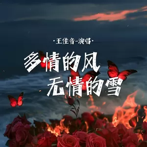 王佳音 - 多情的风无情的雪