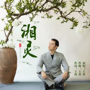 王琪 - 湘灵