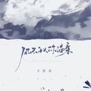 王佳音 - 风不似你温柔