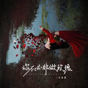 王佳音 - 你不必非做玫瑰(伴奏)
