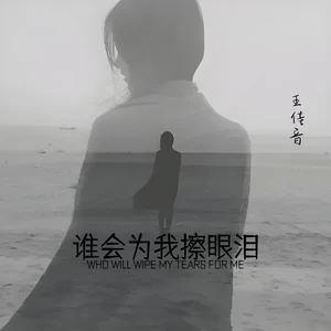 王佳音 - 谁会为我擦眼泪(伴奏)