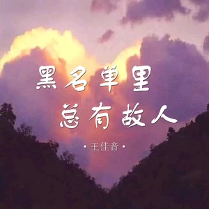 王佳音 - 黑名单里总有故人(伴奏)