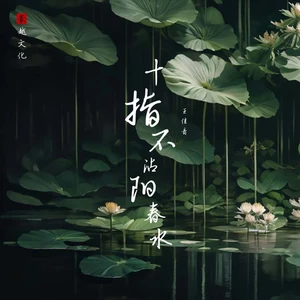 王佳音 - 十指不沾阳春水(伴奏)