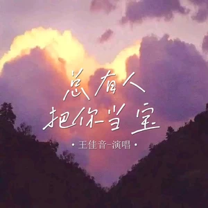 总有人把你当宝(伴奏)