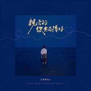 王佳音 - 亲爱的你要过得好(伴奏)