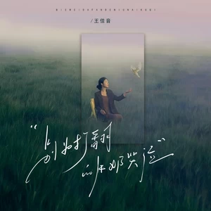 王佳音 - 别为打翻的牛奶哭泣